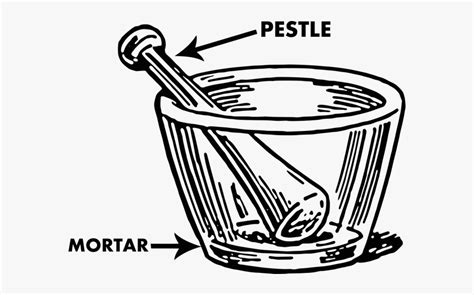 Mortar And Pestle Labelled Diagram , Free Transparent Clipart - ClipartKey