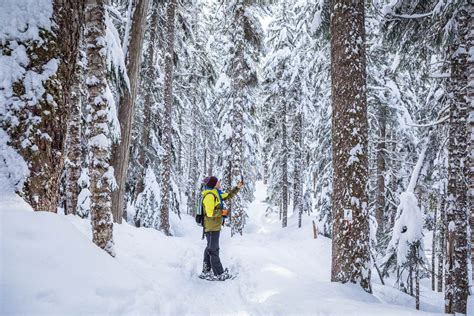 Backcountry Snowshoeing & Spa Excursion, Whistler - Kated