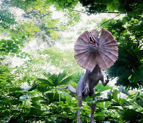 10 Facts About Dilophosaurus