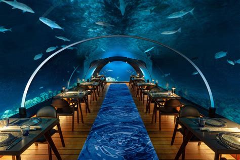 Maldives’ Most Stunning Underwater Dining Experiences – the island logic