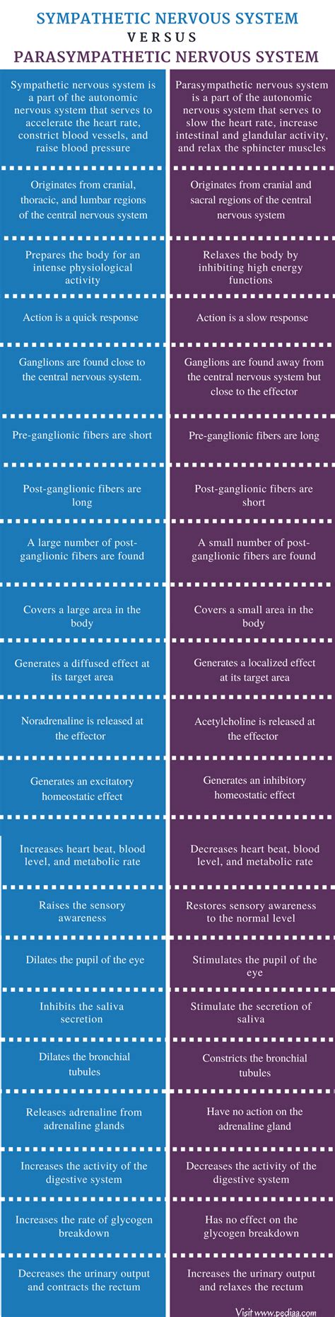 Difference Between Sympathetic and Parasympathetic Nervous System | Definition, Features, Functions