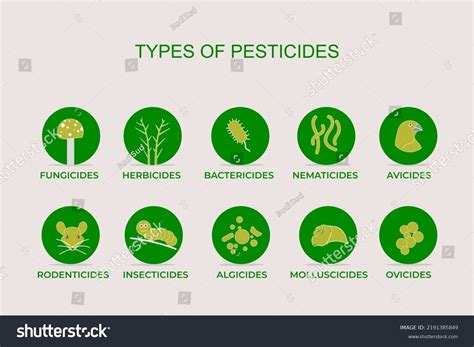 Plant Protection, Herbicides, Insecticide, Pie Chart, Agriculture, Quick, Design