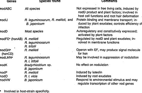 Nodulation Genes Identified in Rhizobia 308 -309 | Download Table