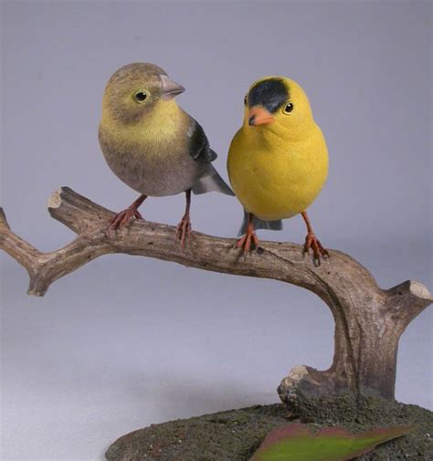 Pair of American Goldfinches (Male and Female) #1 – Birdhug Studio