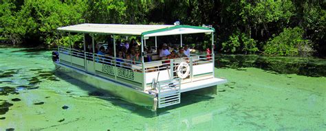 Wildlife Shows & Boat Tours | Florida State Parks