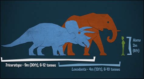 Dinosaur Size Comparison Elephant