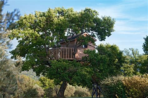 These Spectacular Tree Houses Redefine Small-Space Living Photos | Architectural Digest