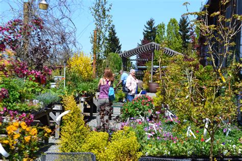 Sunny Farms Nursery – Sequim Daily Photo