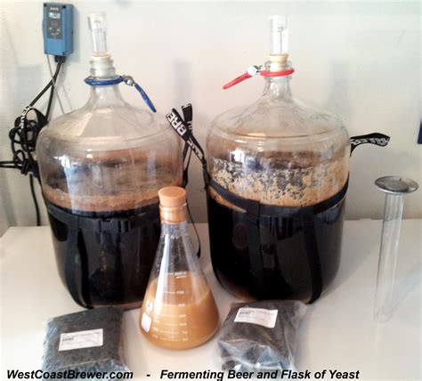 Yeast - Homebrewing - Home Brewers Blog