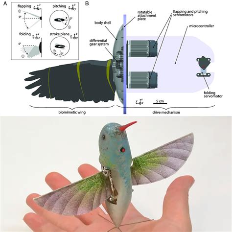 Flapping Wings Could be Coming Soon to Drones, Thanks to Lund University Engineers - TechEBlog