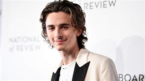 Timothée Chalamet Debuted a Brand-New Mustache at the National Board of ...