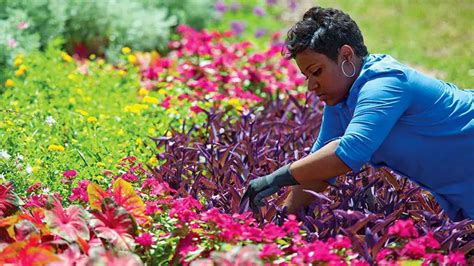 Commercial Horticulturist Job Description - 2024