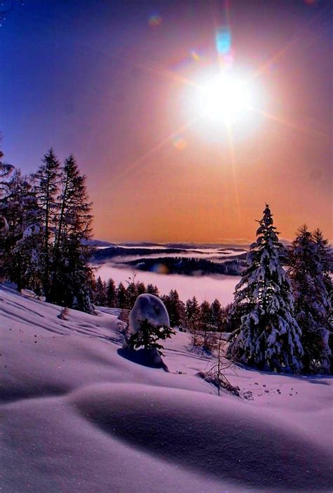 the sun shines brightly over snow covered trees