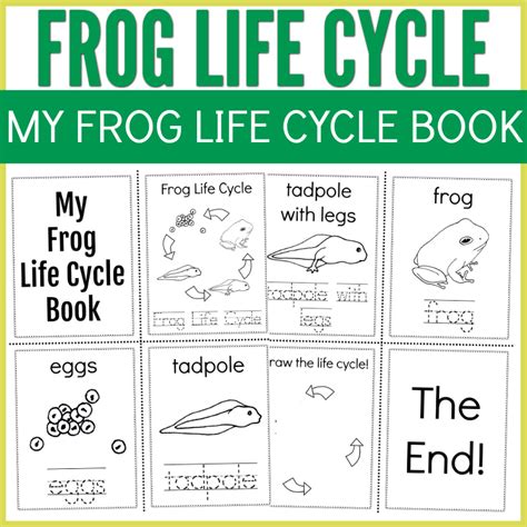 Frog Life Cycle Educational Booklet - Thrifty Mommas Tips