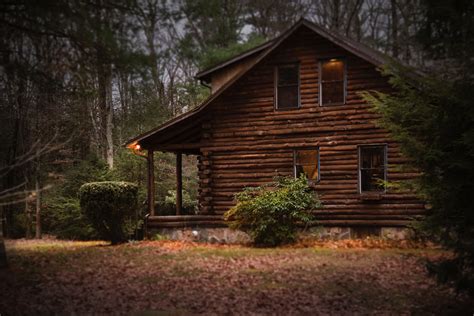 Free photo: Brown Cabin in the Woods on Daytime - Architecture, Light, Woods - Free Download ...