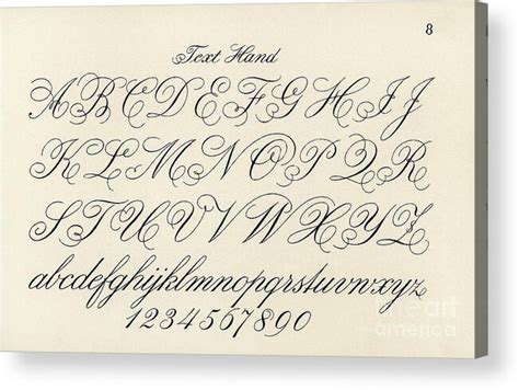 Cursive fonts from Draughtsmans Alphabets by Hermann Esser Acrylic Print by Shop Ability - Pixels