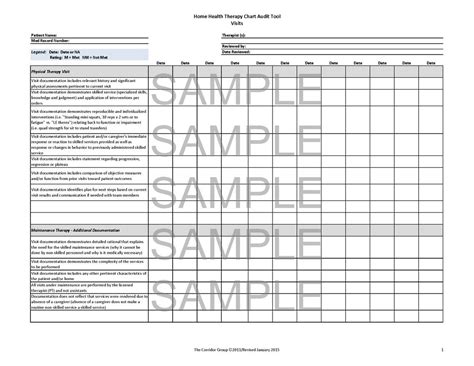 Medical Chart Audit Template For Your Needs