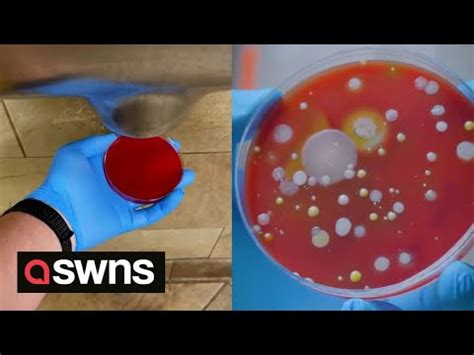 Use paper towels! Shocking video shows how much bacteria is lurking inside electric hand dryers