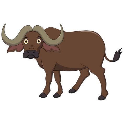 Best Cartoon Of A Water Buffalo Head Illustrations, Royalty-Free Vector ...