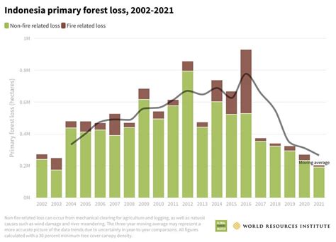 Deforestation in Indonesia | Earth.Org