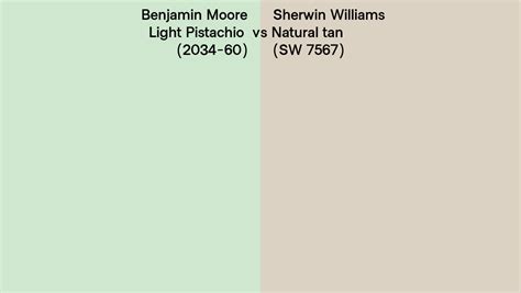 Benjamin Moore Light Pistachio (2034-60) vs Sherwin Williams Natural tan (SW 7567) side by side ...