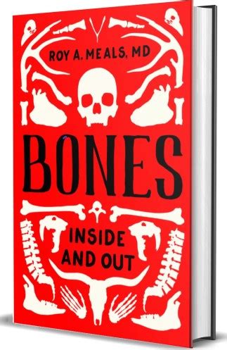 BONES, Inside and Out - MuscleAndBone.Info