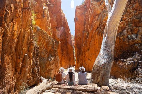 5-Day Trek the Larapinta Trail from Alice Springs | Northern Territory - KKday