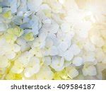 Soft Floral Background Free Stock Photo - Public Domain Pictures