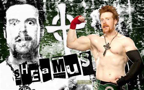 WWE Sheamus Heavyweight Champion 2012 | It's All About Wallpapers