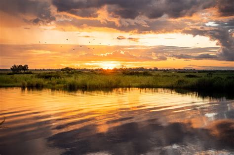 What to expect during a summer safari on the Chobe River