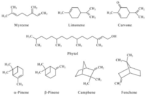 The structure of the terpenes under consideration. | Download Scientific Diagram