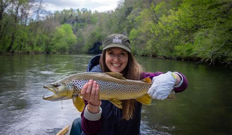 Watauga River Fly Fishing Guide | Trophy Brown Trout Fishing TN ...