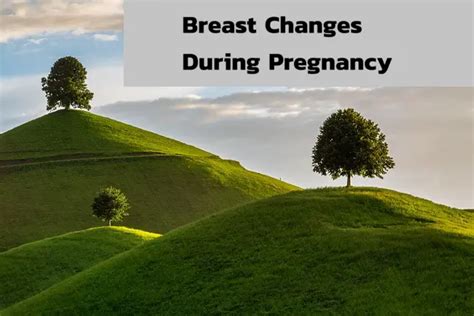 The 5 Breast Changes During Pregnancy You Should Know