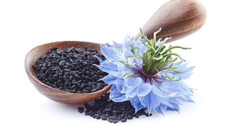 Everything You Need To Know About Nigella Seeds