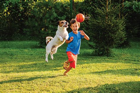 4 Fun Ways to Teach Kids & Dogs To Play Together