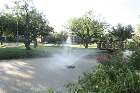 Hardin-Simmons University, Abilene, Texas - College Overview