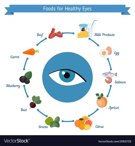 Healthy eyes foods infographics Royalty Free Vector Image