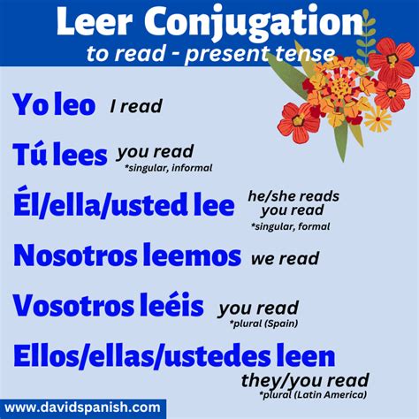 Leer Conjugation: How to Conjugate to Read in Spanish