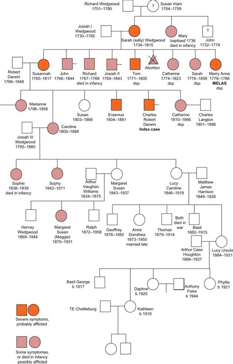 Family tree of Charles Darwin's (CD) relatives. Notes: First... | Download Scientific Diagram