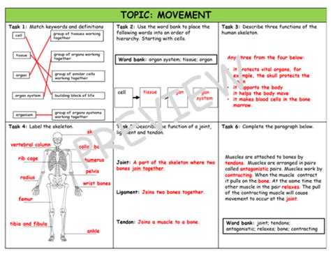 Movement assessment | Teaching Resources