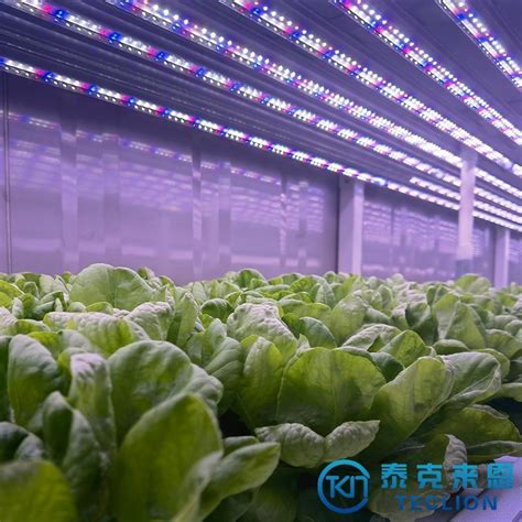 Easy Control Intelligent Hydroponic System Greenhouses Farm Container Veg Flower Grow Organic ...