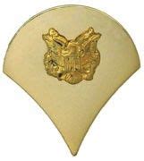 Specialist Polished Brass Army Rank Insignia | Army ranks, Military medals, Insignia