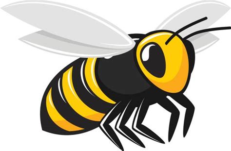 clipart of wasp 20 free Cliparts | Download images on Clipground 2024