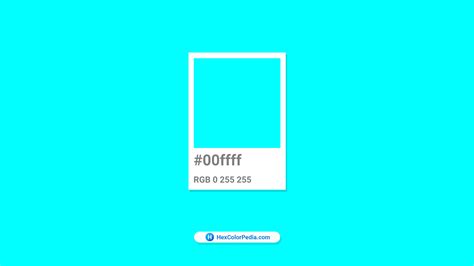 Aqua - Hex Color Conversion - Color Schemes - Color Shades - Pantone color | Hexcolorpedia