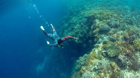 Belum Lengkap Nikmati Pantai Bira Jika Tak Kunjungi 2 Pulau Ini - Tribun-timur.com