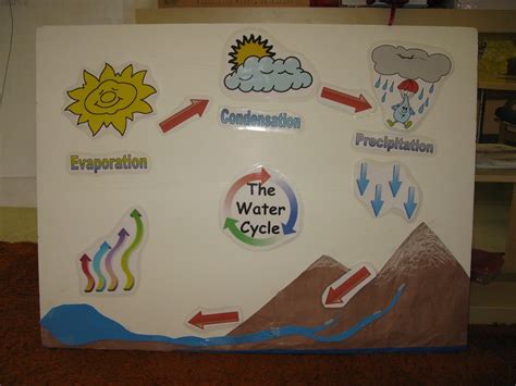 Pix For > Water Cycle Science Projects For Kids | Water cycle, Science ...