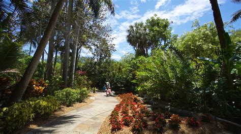 Visit Sunken Gardens in St. Petersburg - Clearwater | Expedia