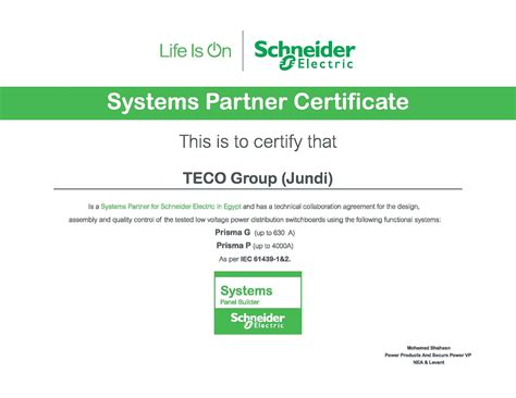 Schneider Electric Systems Partner – TECO GROUP – Automation, Low ...