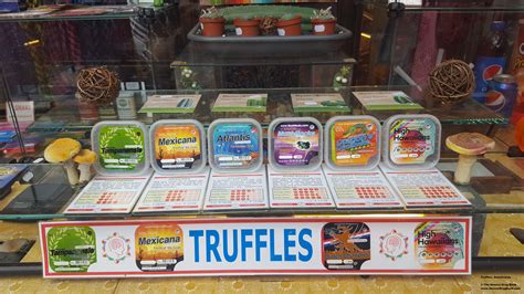 When In Amsterdam.... Magic Truffles : r/shrooms