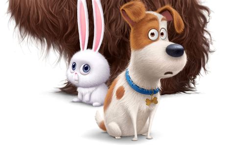 secret, pets, life, the secret life of pets, hare, cute, movie, dog, 2016, 1080P, cartoon HD ...